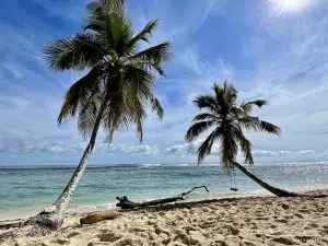Vue sur la merde depuis Playa Fronton en République Dominicaine
