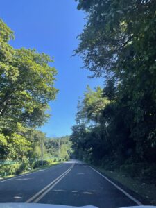 Route bordée de végétation en République dominicaine