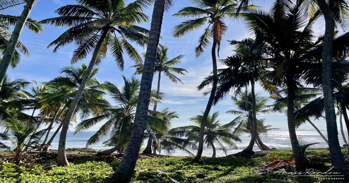 Vue sur la mer depuis la route en République dominicaine