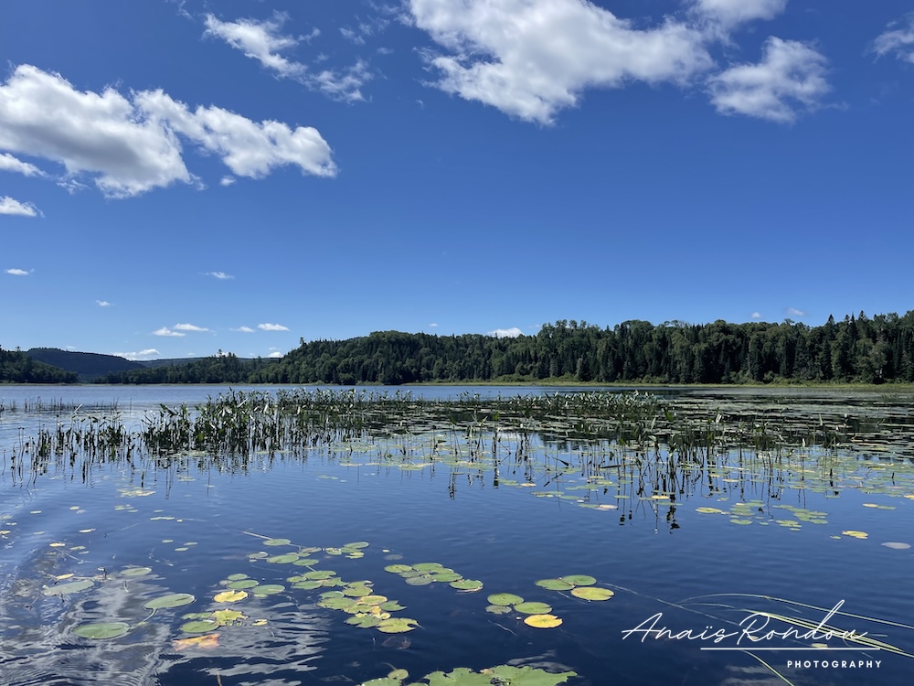 Lac Anticagamac sous un ciel bleu