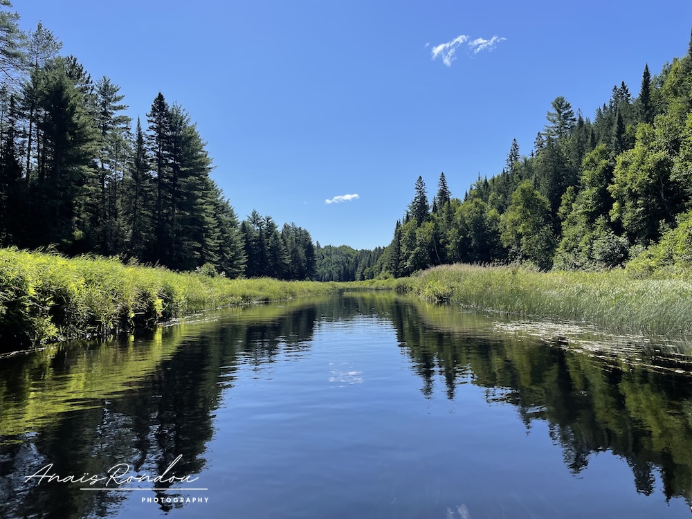 Méandres aux eaux calmes et entourée d'arbres au parc de la Mauricie