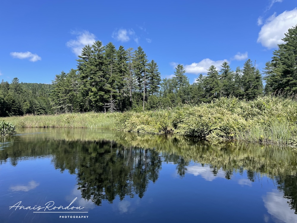 Effet miroir dans l'eau des méandres