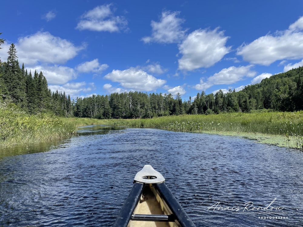 Canot-camping dans des méandres au milieu de végétation luxuriante