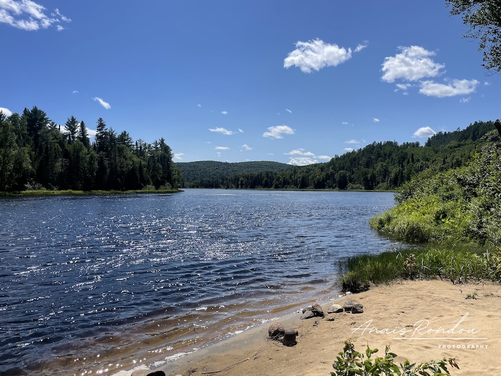Rivière Matawin rivage Vue sur la rivière Matawin sous un beau ciel bleu depuis le rivage
