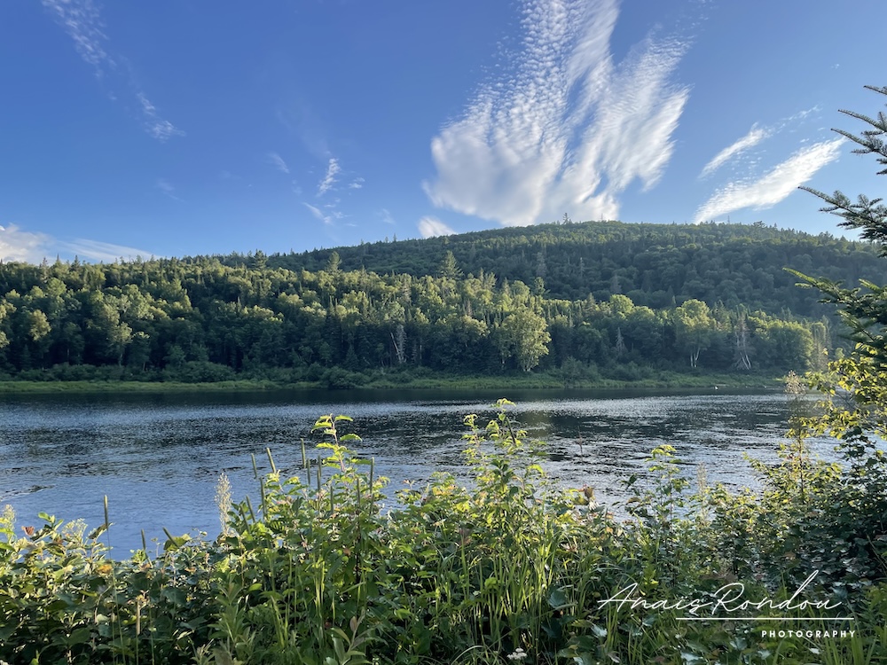 Vue ensoleillée sur la rivière lors d'un le canot-camping au Québec