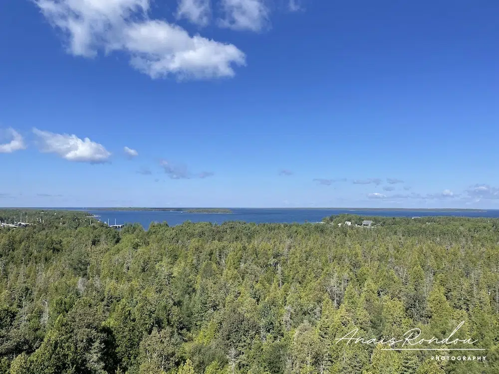 Vue sur la forêt, la baie Georgienne et des îles depuis une tour d'observation