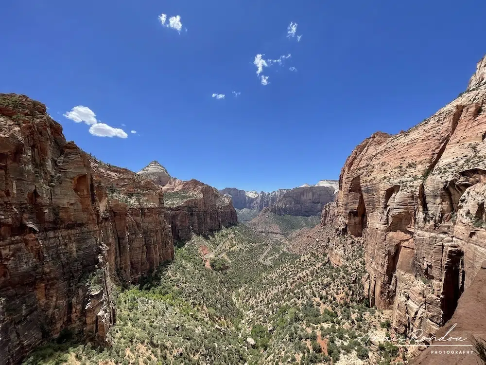 canyon overlook parc national zion Point de vue sur une vallée rocheuse avec des arbres au parc national de Zion
