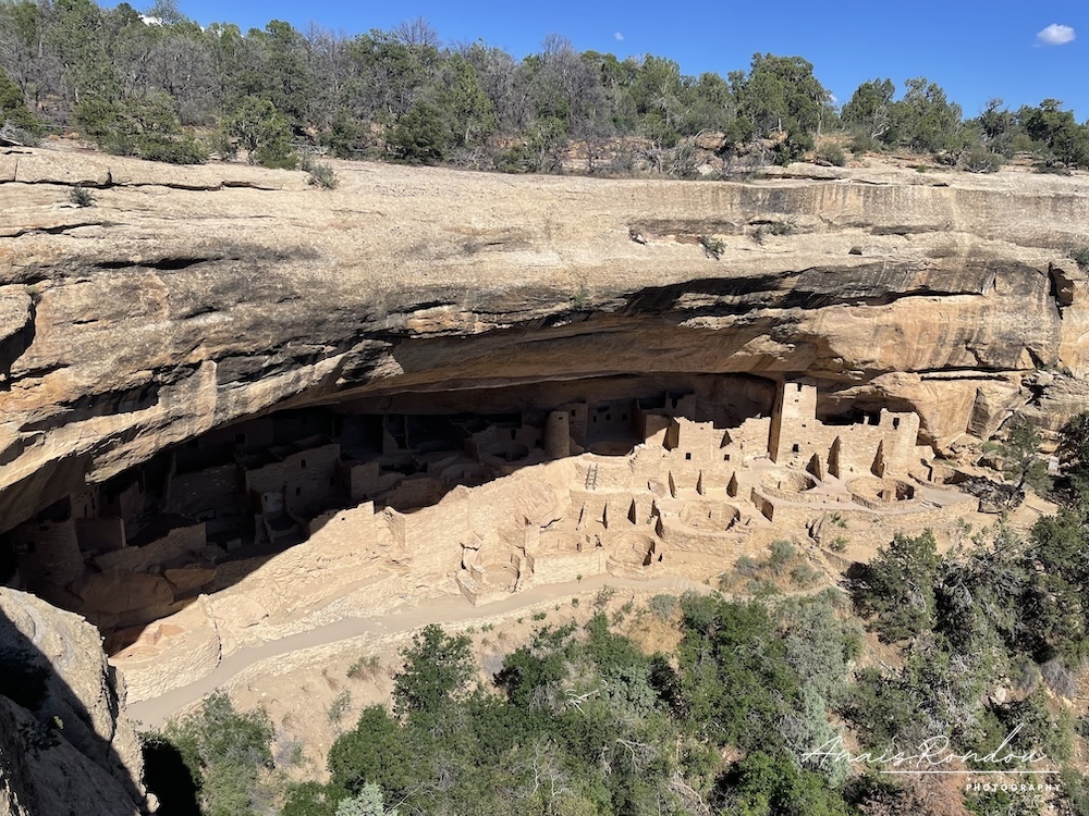 cliff palace mesa verde Palais taillé à flan de falaise dans le parc national de Mesa Verde