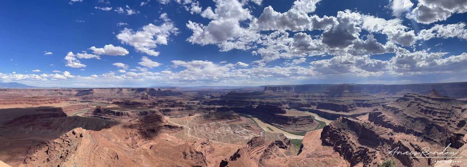 Dead Horse Point Point de vue sur des Canyons nommé Dead Horse Point