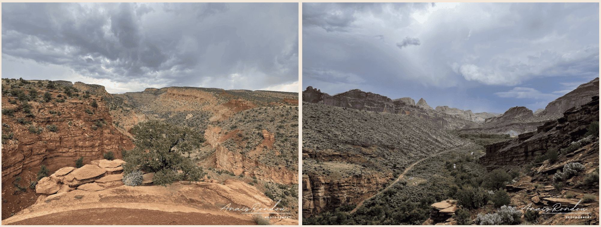Fremont River trail Capitol Reef Point de vue sur une zone rocheuse avec de la végétation sous les nuages à Capitol Reef