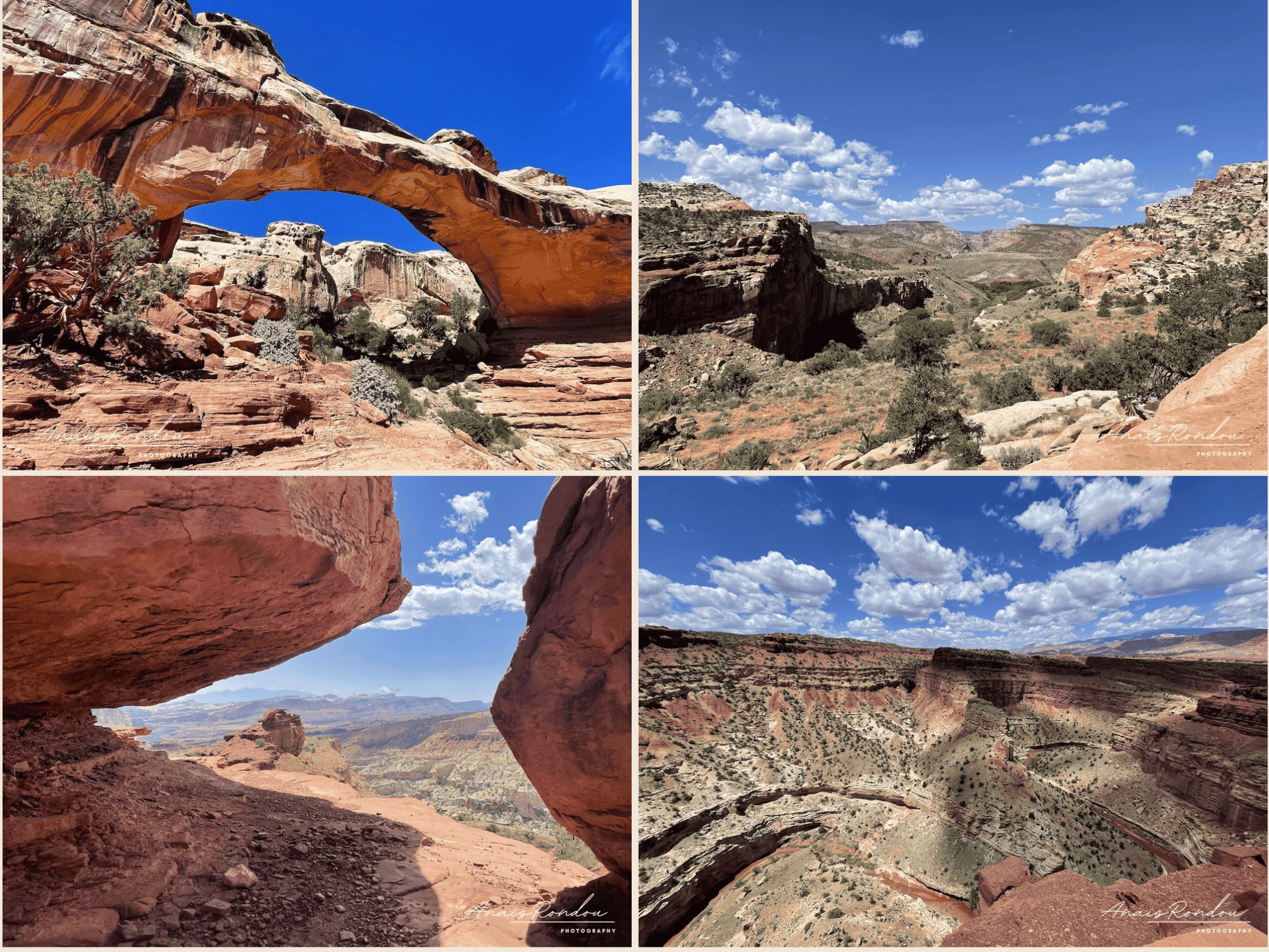 parc national Capitol Reef Paysages rocheux du parc national de Capitol Reef