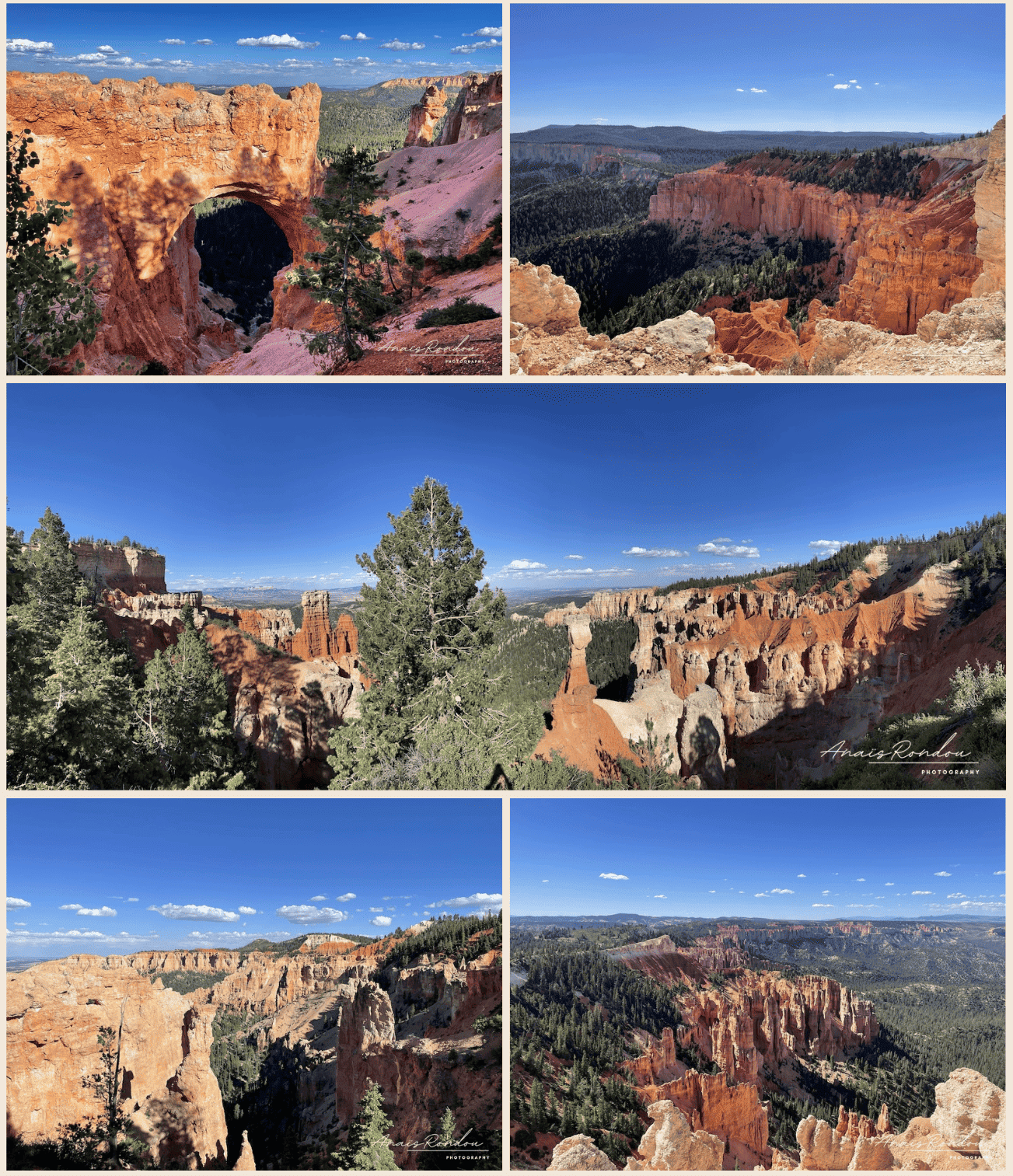 route panoramique Bryce Canyon Route panoramique avec vue sur les hoodoos de Bryce Canyon