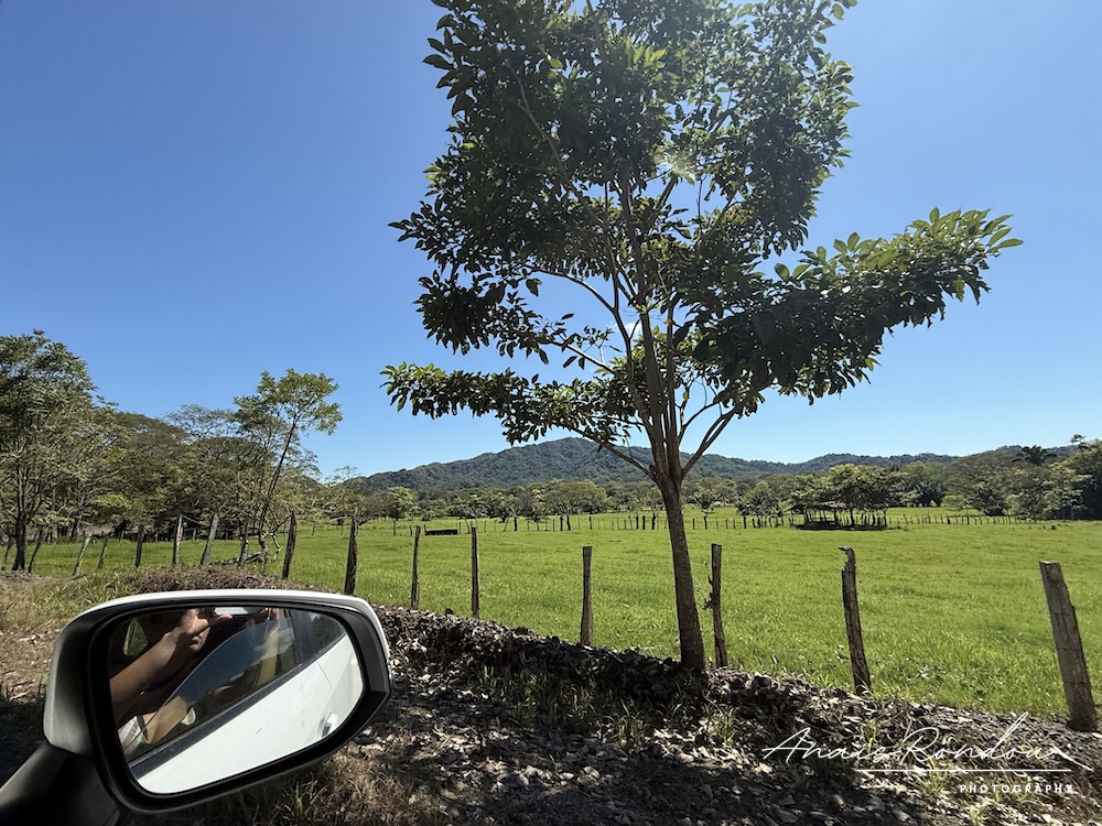 Paysage vert observé depuis la voiture au Costa Rica