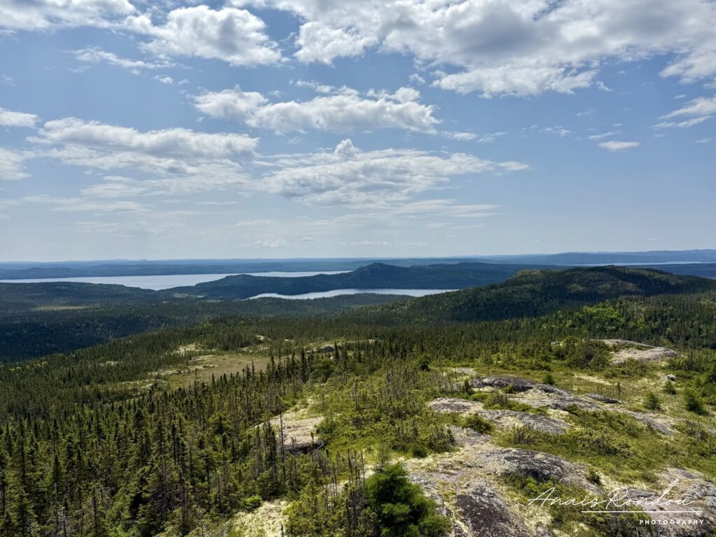 Vue sur le parc national Terra-Nova et ses lacs depuis la colline Ochre