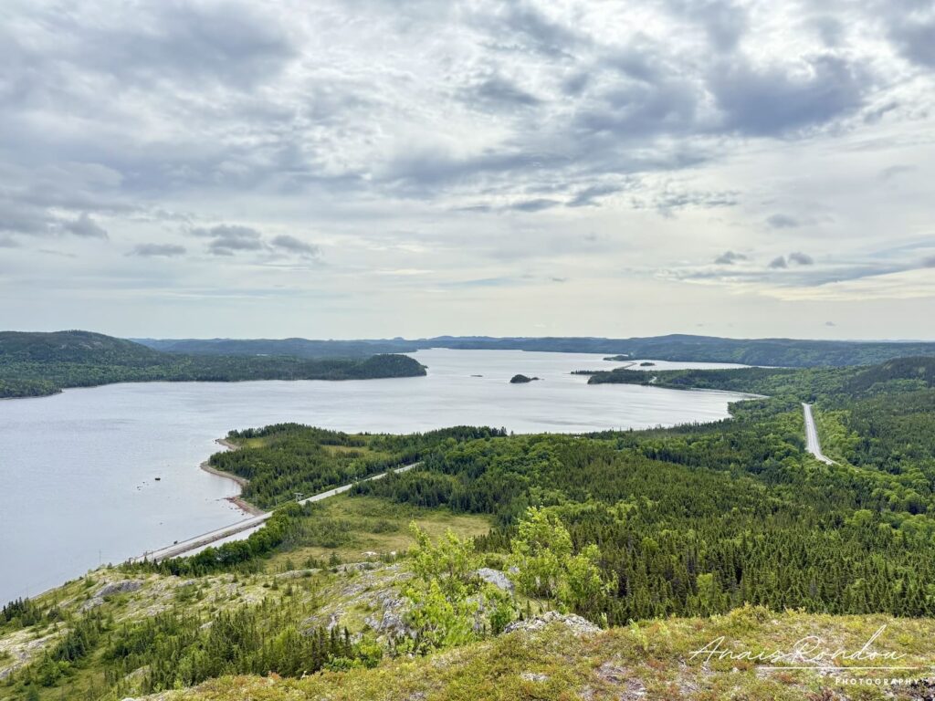 belvédère Mill Cove Terra-Nova Vue sur un lac du parc national Terra-Nova depuis le belvédère Mill Cove
