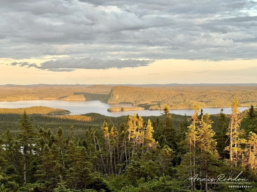 Vue sur le parc national Terre-Nova au coucher de soleil depuis Blue Hill