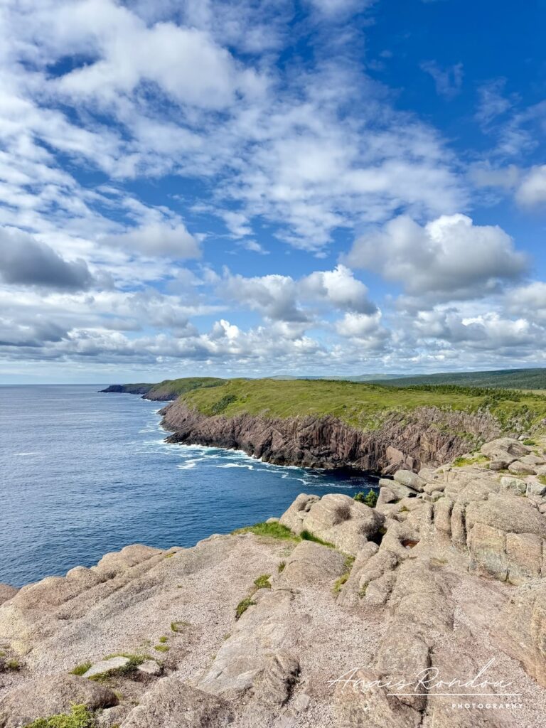 Falaises rocheuses du Cape Spear Path à Terre-Neuve