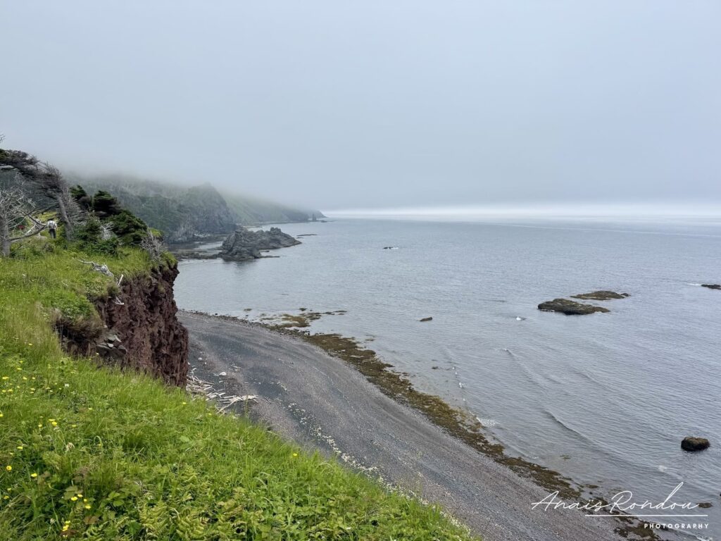 Falaises de Green Gardens au parc du Gros-Morne sous un ciel nuageux