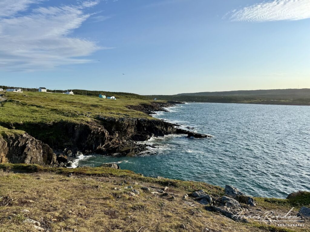 Bord de mer avec falaises et petites maisons à Elliston