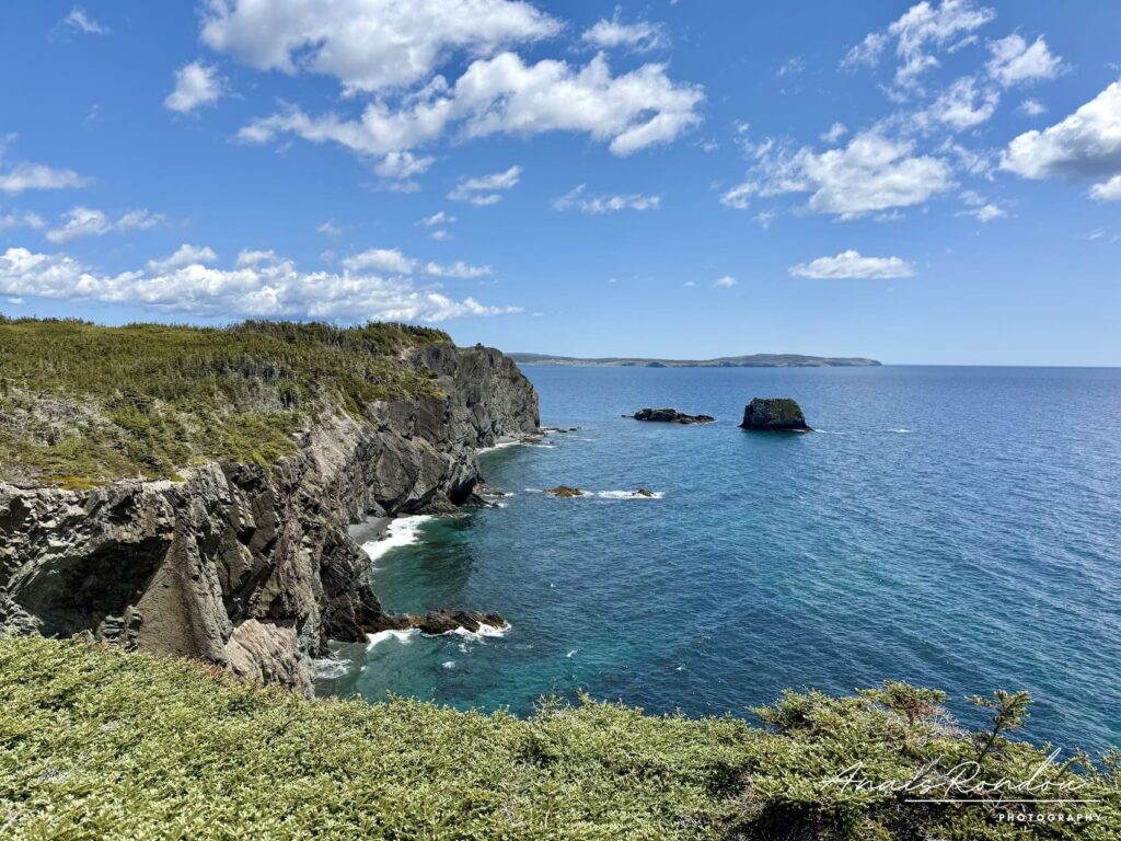 Falaises du Skerwink Trail à Port Rexton sur l'île de Terre-Neuve