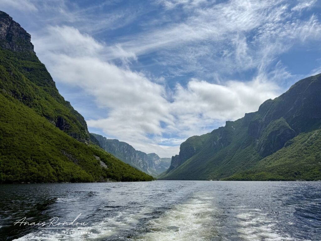 Fjord Western Brook Pond avec ses versants verts