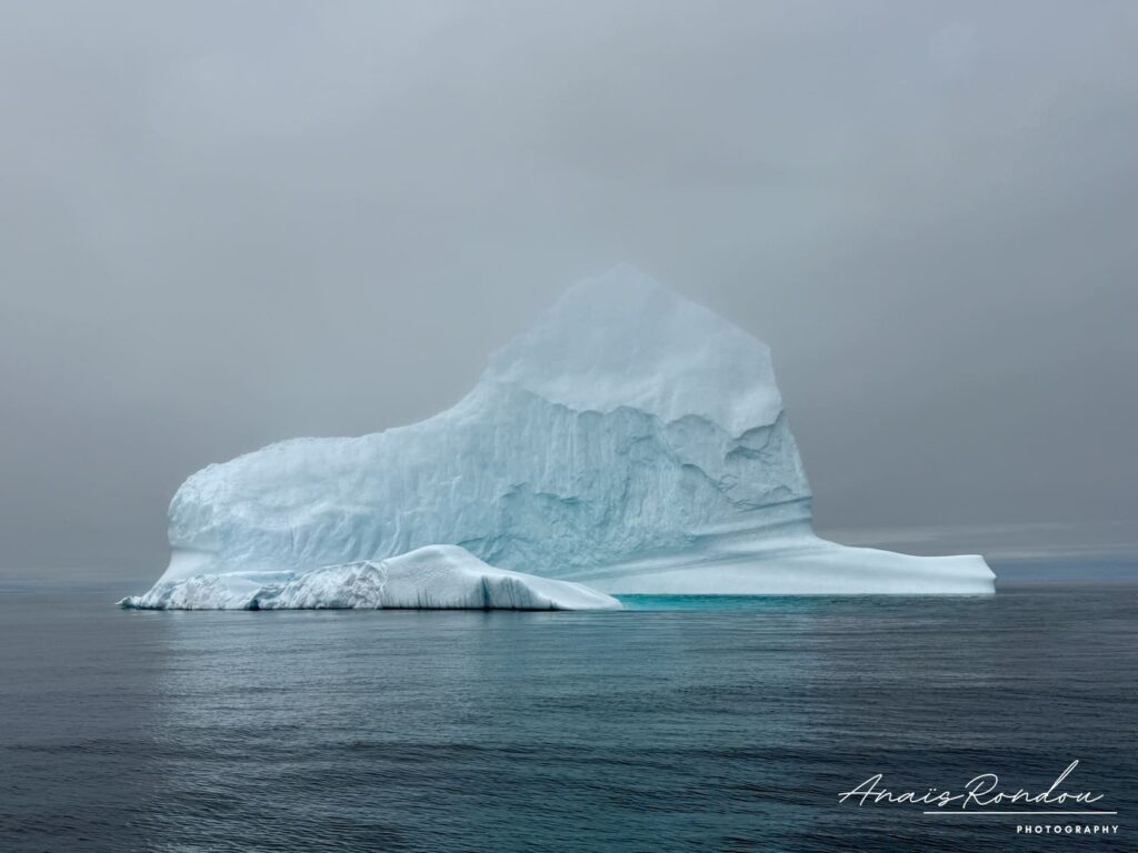 Gros iceberg au large de Twilingate à Terre-Neuve
