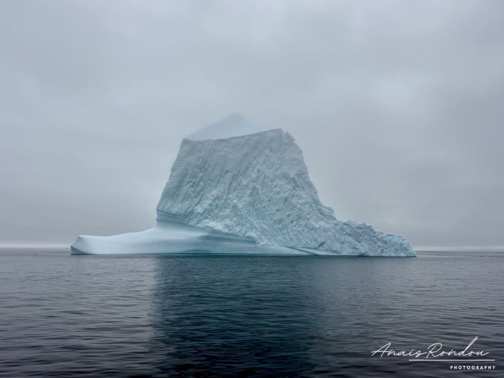 Iceberg observé dans la mer depuis le bateau près de Twilingate lors d'un road trip à Terre-Neuve