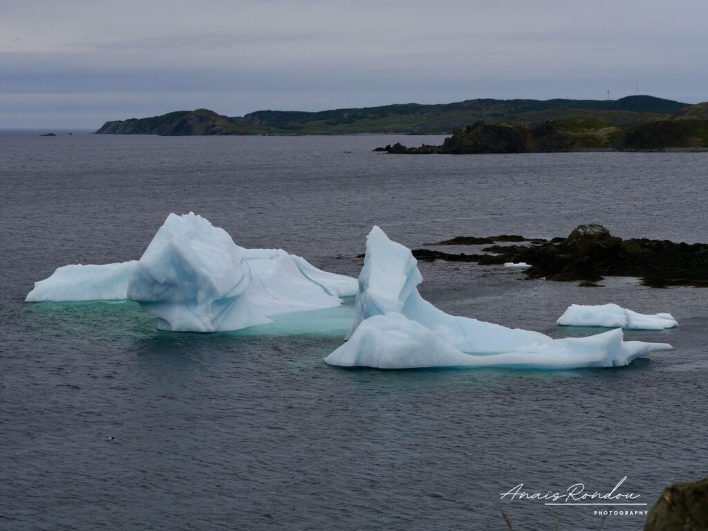Iceberg observé près de la côte depuis la route à Twilingate