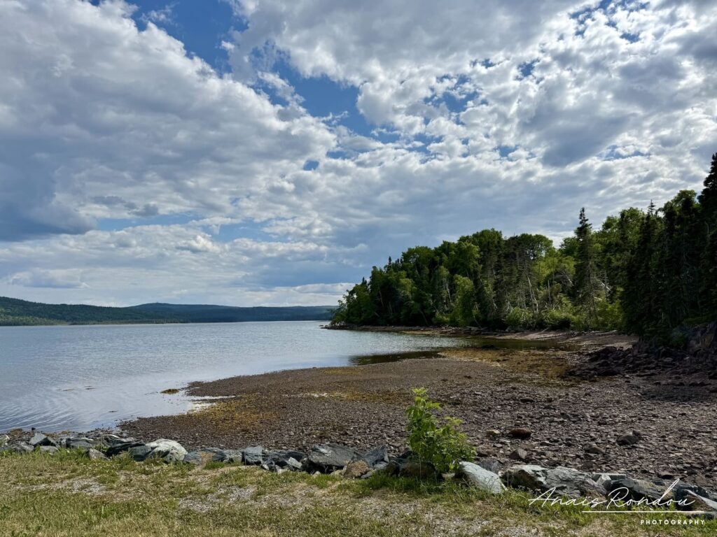 Plage au bord d'un lac au parc national Terra-Nova