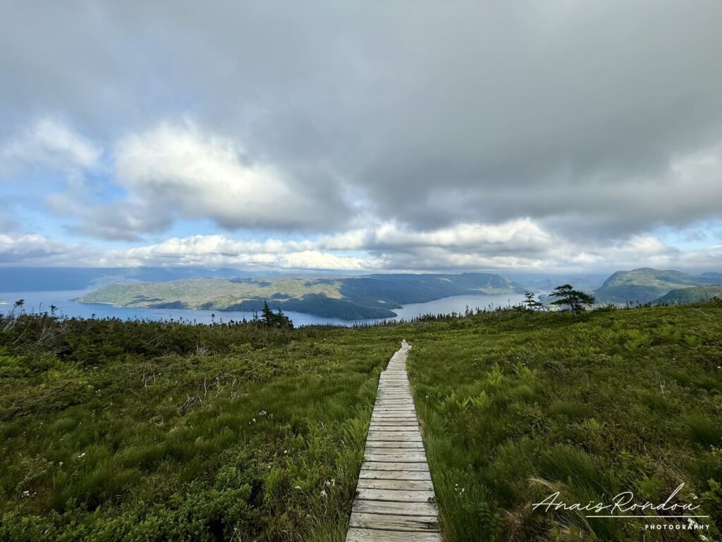 Ponton en bois avec vue sur les lacs du parc du Gros-Morne