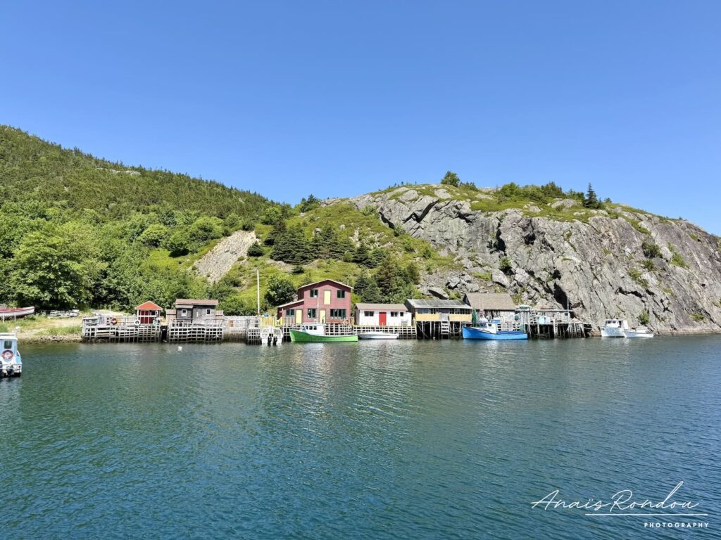 Quidi Vidi à Terre-Neuve Village de Quidi Vidi à Terre-Neuve avec ses petites maisons colorées sur l'eau