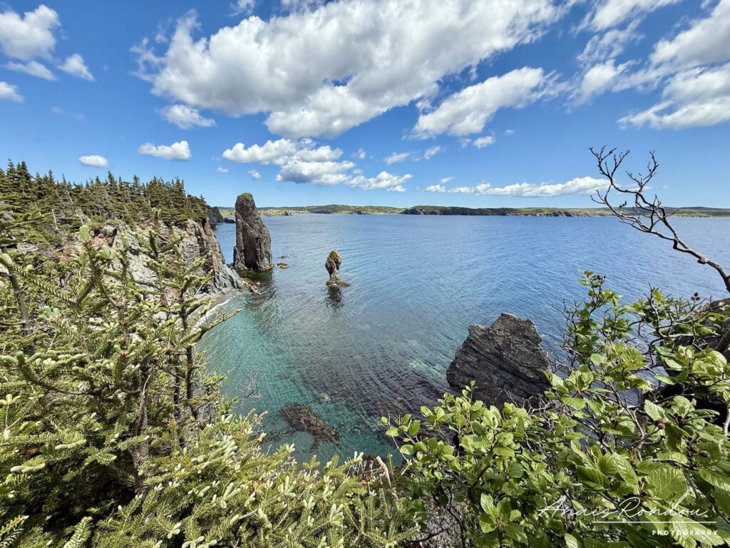 Eau transparente de la mer depuis le Skerwink Trail à Port Rexton sous un cile bleu avec nuages blancs