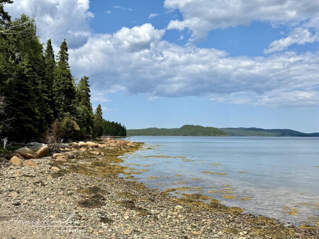 Sentier côtier en bord de lac au parc national Terra-Nova