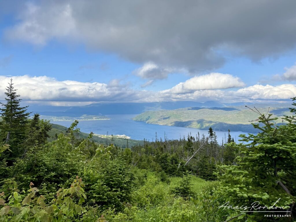 Vue depuis le Lookout Trail sur le parc national du Gros-Morne ainsi que ses lacs et montagnes