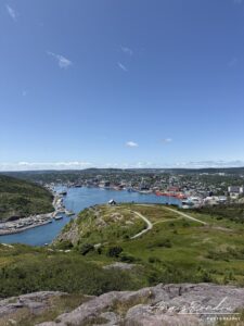 Vue sur la ville de Saint John's lors d'un road trip à Terre-Neuve