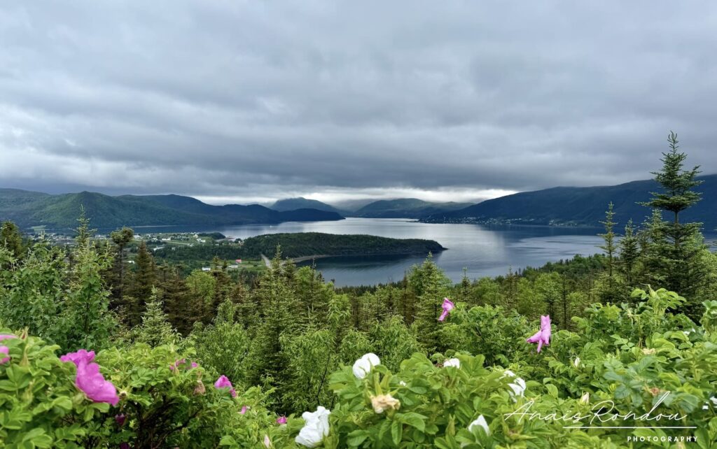 baie bonne parc national du Gros-Morne Paysage sur la Baie Bonne depuis Norris Point au parc national du Gros-Morne