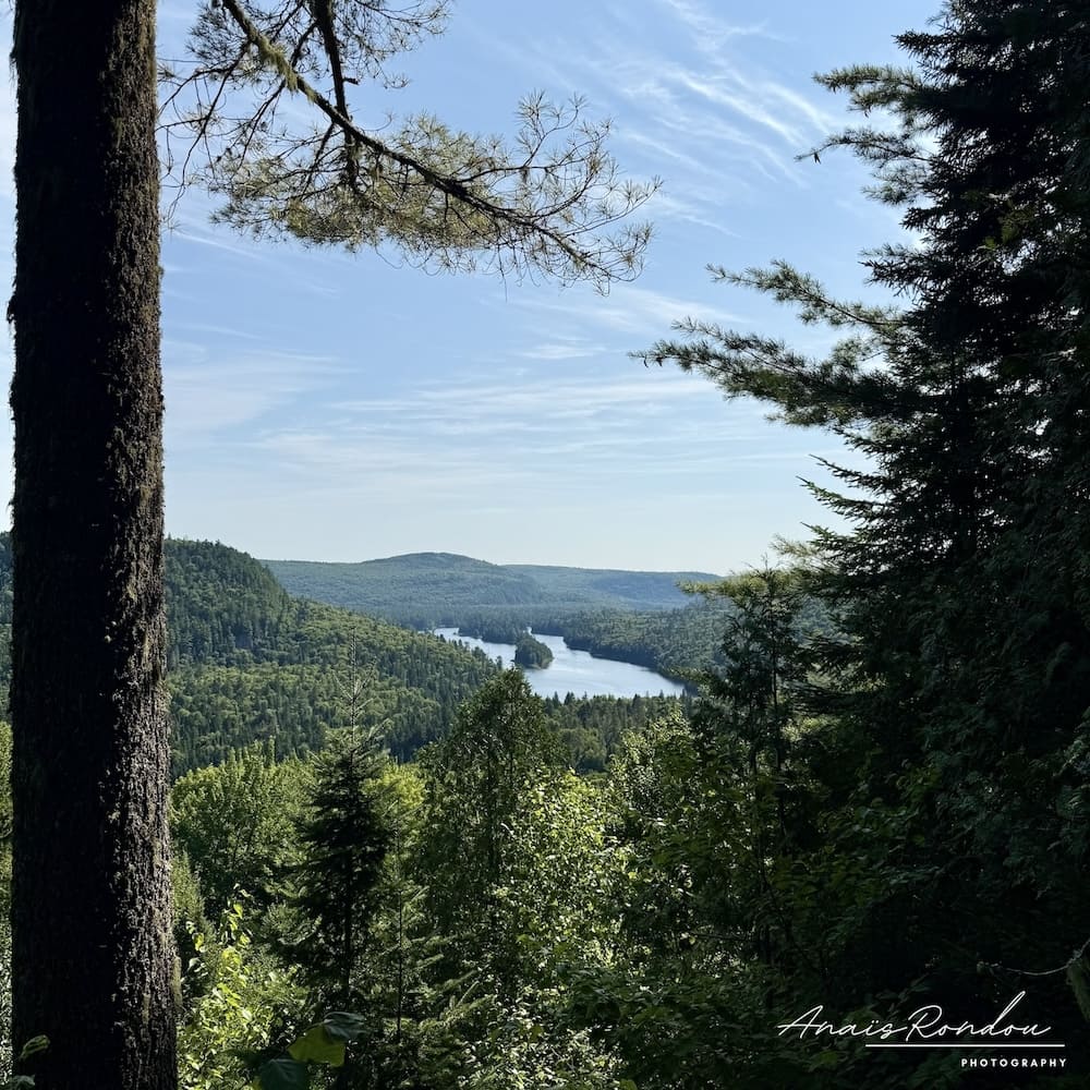 Vue sur le lac Wapizagonke entre les arbres sous un ciel bleu
