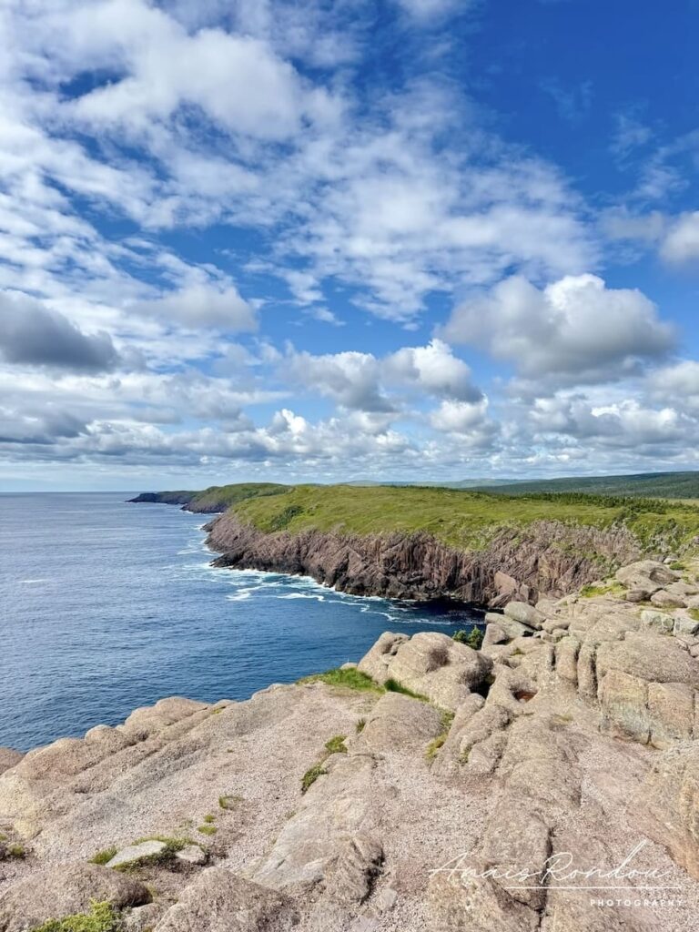 Sentier côtier nommé Cape Spear Path avec ses falaises et prairies vertes près de Saint John's