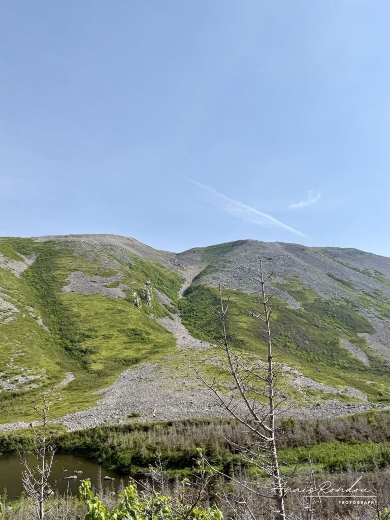 Éboulis de la randonnée du Mont Gros-Morne vu d'en bas