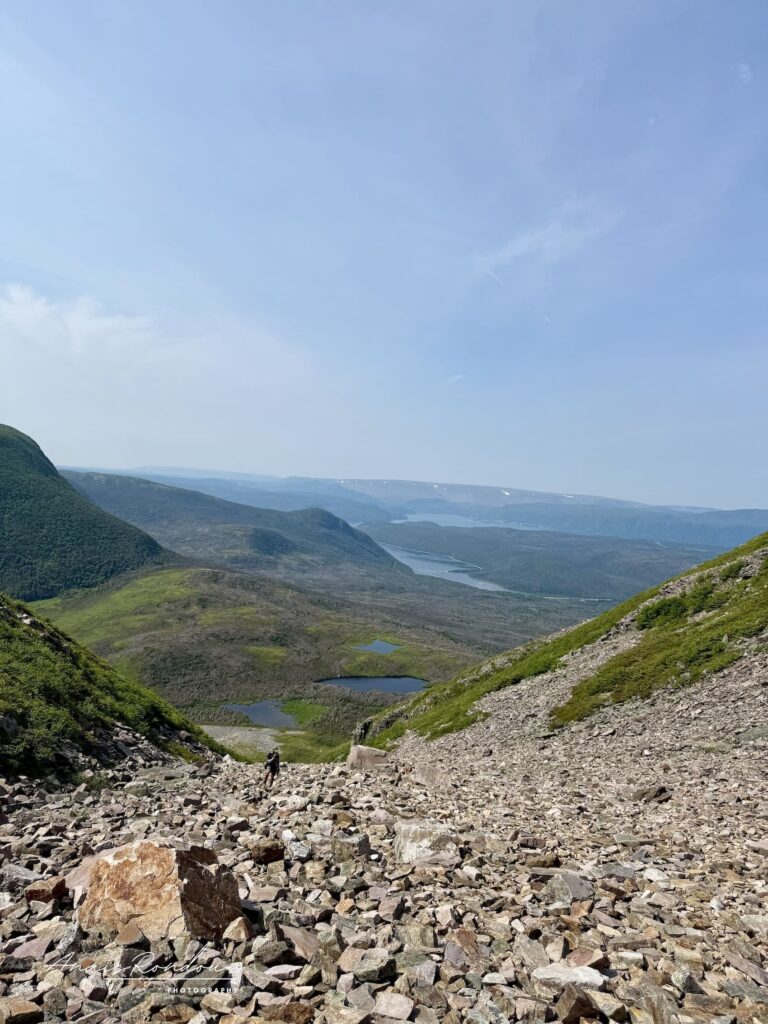 Vue sur les pacs du parc depuis l'éboulis du Mont Gros-Morne