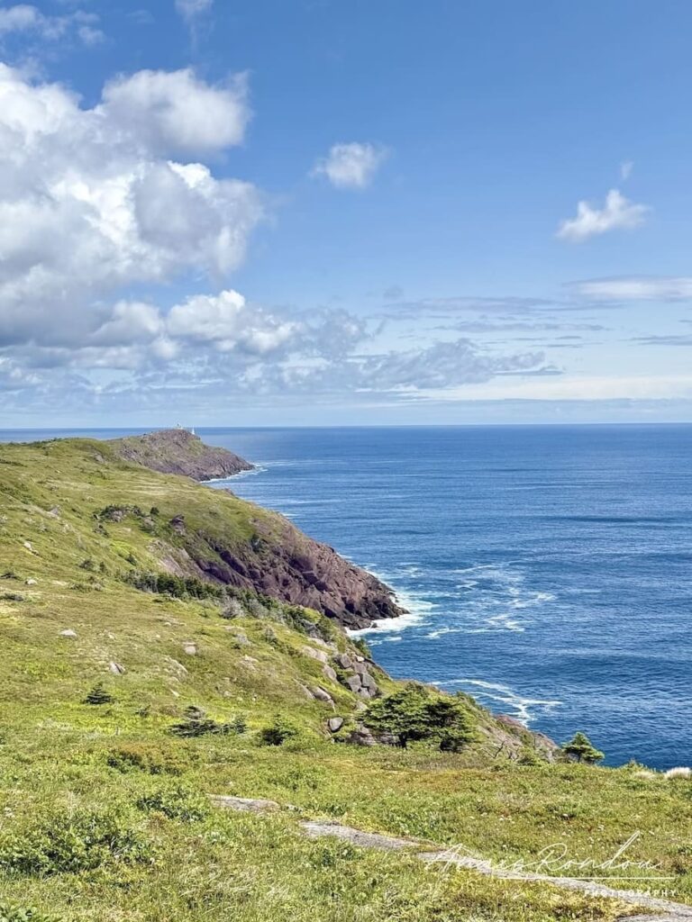 Falaises et prairies vertes donnant sur l'océan sur le Cape Spear Path à Saint John's