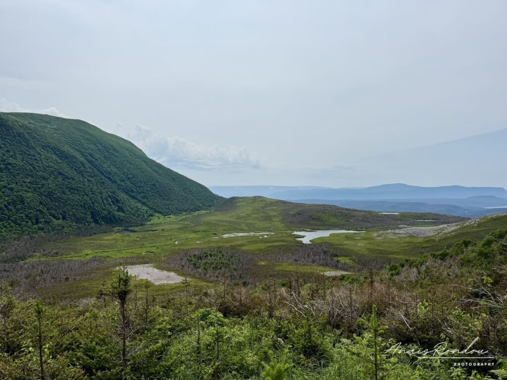 Vue plaine et montagne en bas du Mont Gros-Morne