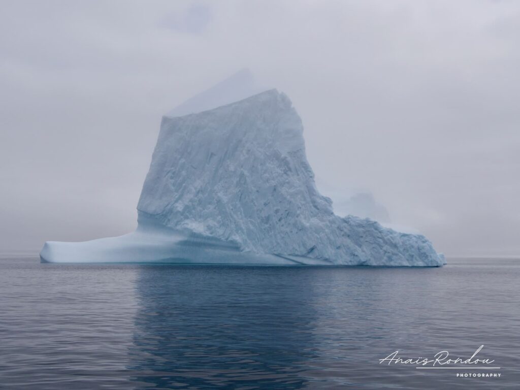 Iceberg Terre-Neuve Iceberg au milieu de l'océan observé à Terre-Neuve au Canada
