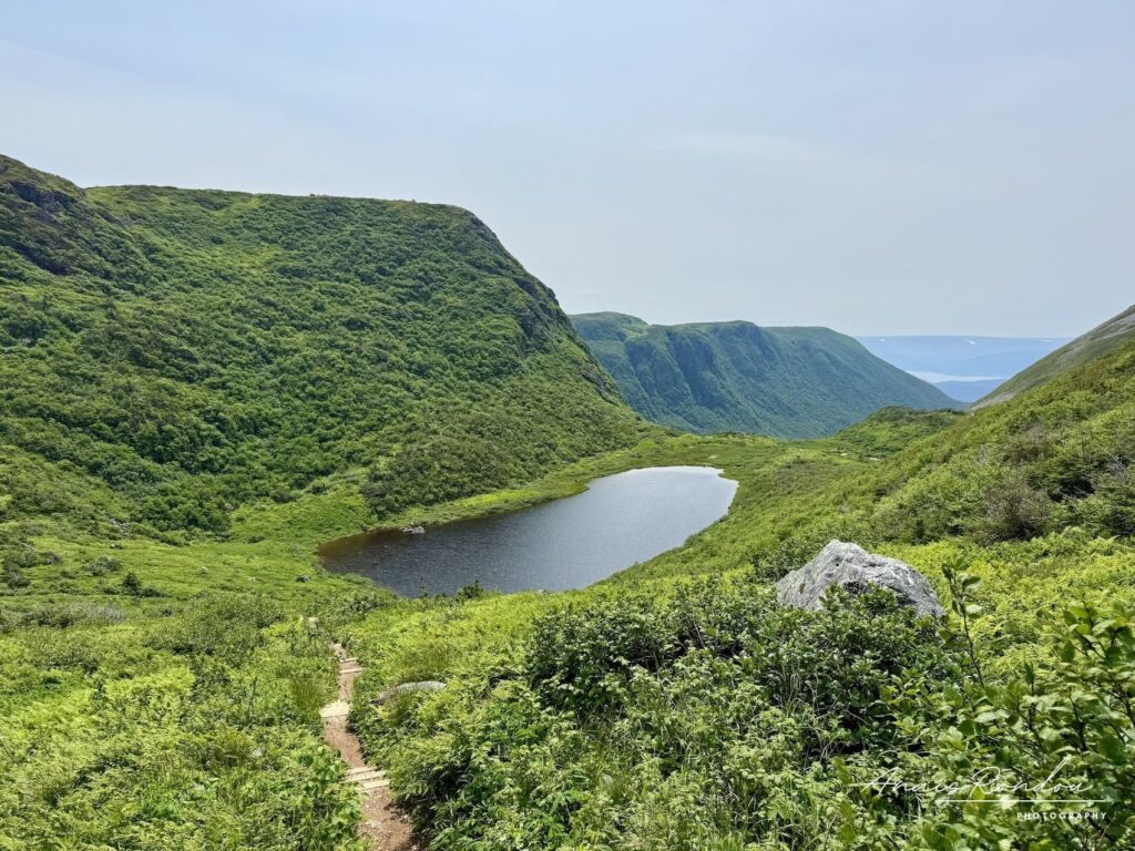 Lac d'altitude entre des montagnes verdoyantes au Mont Gros-Morne