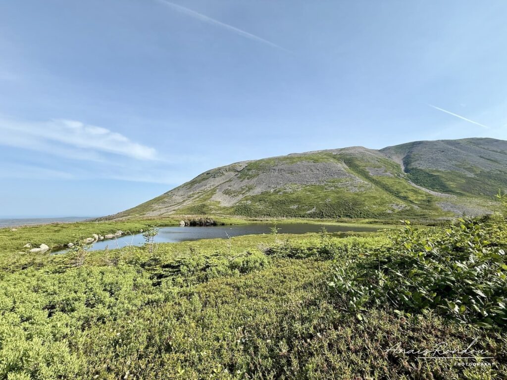 Lac au pied du Mont Gros-Morne sur le sentier d'approche
