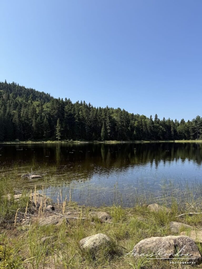 Lac Waber avec des sapins au bord sous un ciel bleu