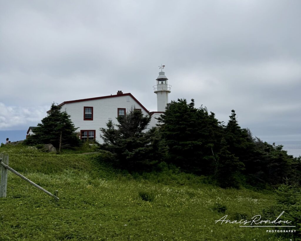 Lobster Cove Head Gros-Morne Phare de Lobster Cove Head à voir au parc national du Gros-Morne