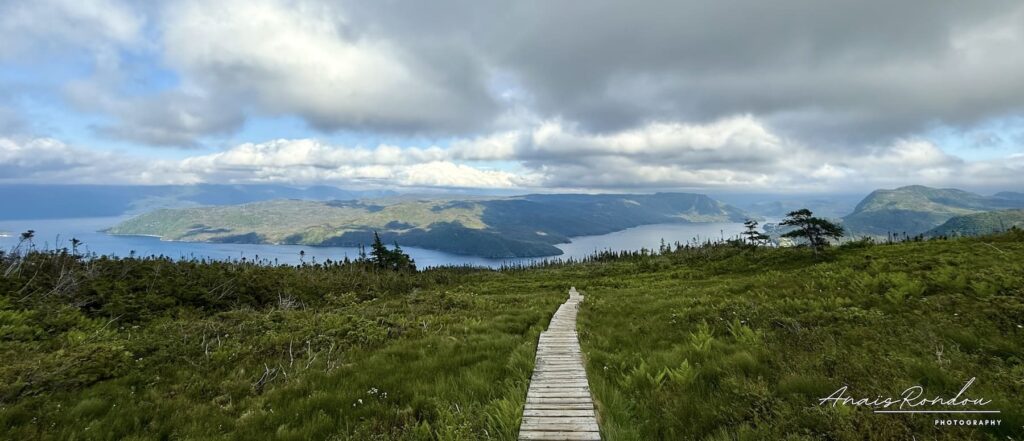 lookout trail parc national Gros-Morne Sentier de bois avec vue sur le parc national du Gros-Morne depuis le Lookout Trail