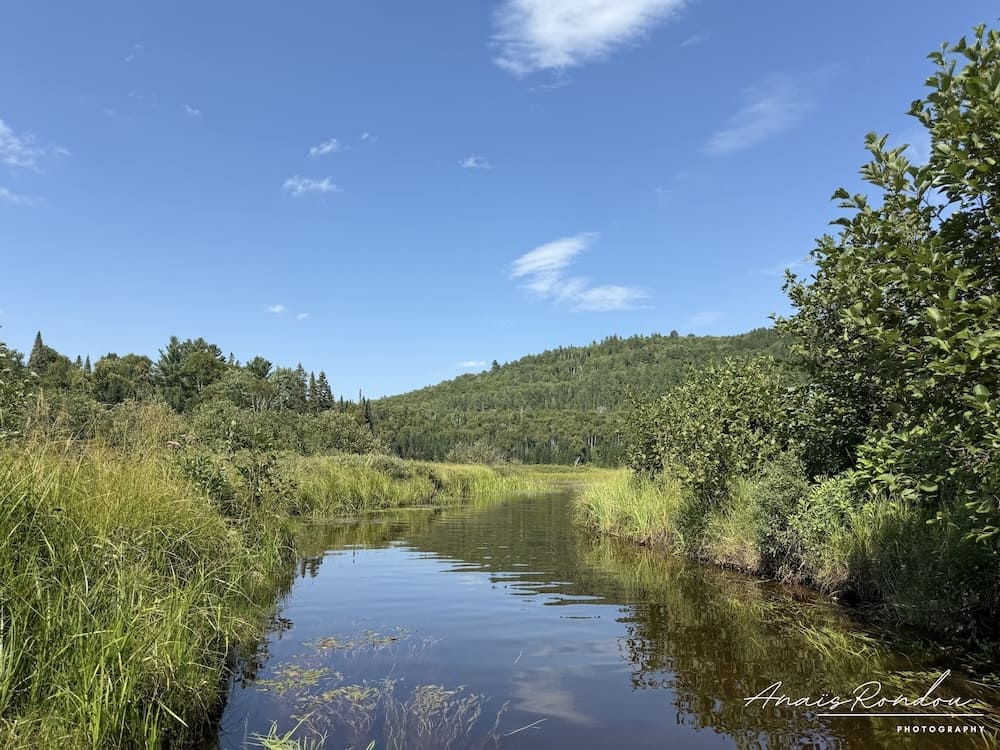 Méandre au milieu de la végétation avec une petite colline et un ciel bleu