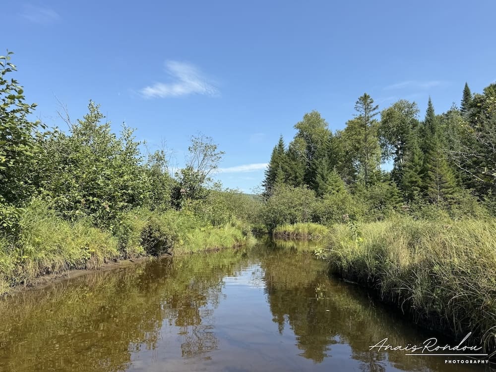 Méandre au milieu de la nature sous un ciel bleu
